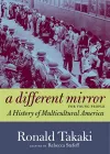 A Different Mirror For Young People cover