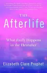 The Afterlife cover