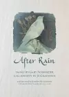 After Rain cover