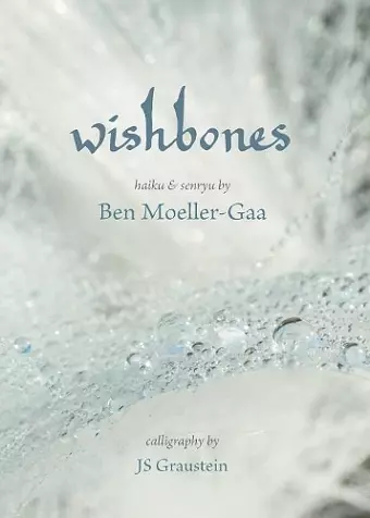 Wishbones cover