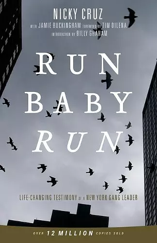 Run Baby Run cover