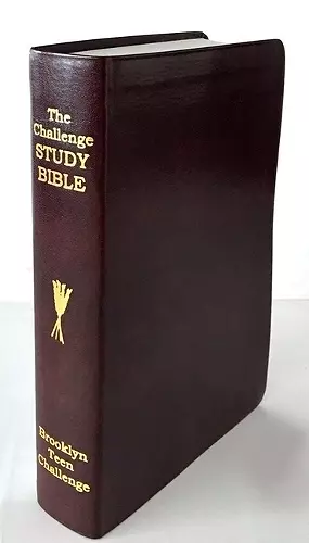 CEV Challenge Study Bible-Flexi Cover cover