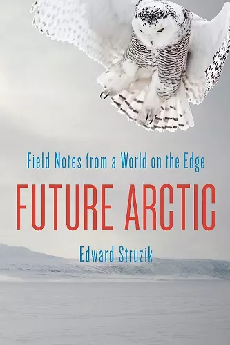 Future Arctic cover