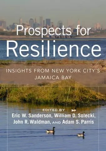 Prospects for Resilience cover