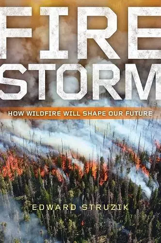Firestorm cover