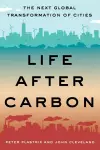 Life After Carbon cover