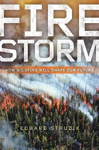 Firestorm cover