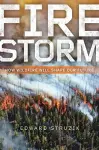Firestorm cover