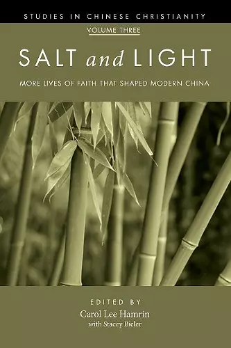 Salt and Light, Volume 3 cover