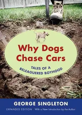 Why Dogs Chase Cars cover