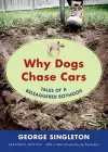 Why Dogs Chase Cars cover