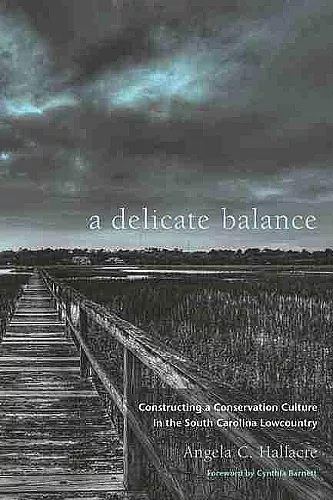 A Delicate Balance cover