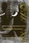 Critical Approaches to Joseph Conrad cover