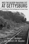 In the Bloody Railroad Cut at Gettysburg cover