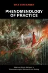 Phenomenology of Practice cover