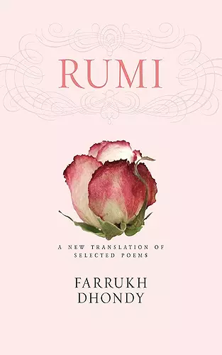 Rumi cover