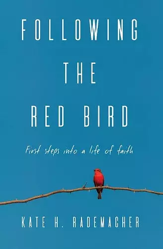 Following the Red Bird cover