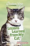 Chicken Soup for the Soul: Lessons Learned from My Cat cover