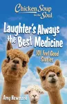 Chicken Soup for the Soul: Laughter's  Always the Best Medicine cover