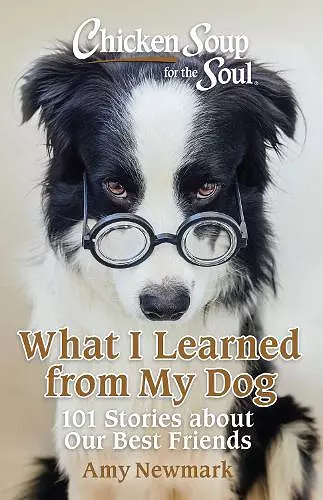 Chicken Soup for the Soul: What I Learned from My Dog cover