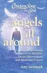 Chicken Soup for the Soul: Angels All Around cover