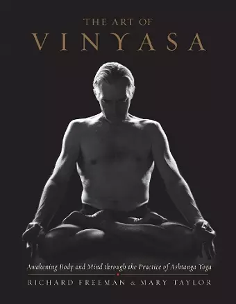 The Art of Vinyasa cover