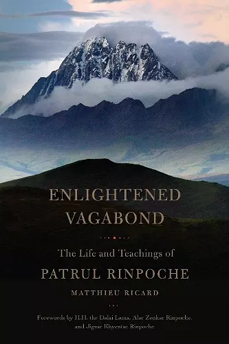 Enlightened Vagabond cover