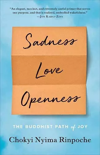 Sadness, Love, Openness cover