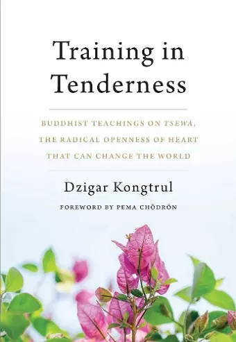 Training in Tenderness cover