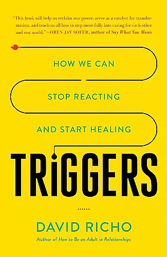 Triggers cover