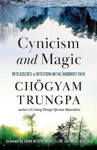 Cynicism and Magic cover