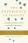 The Experience of Insight cover