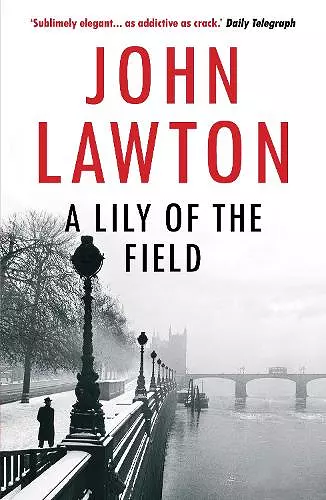 A Lily of the Field cover