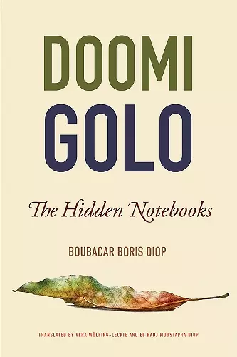 Doomi Golo—The Hidden Notebooks cover