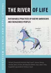 The River of Life cover