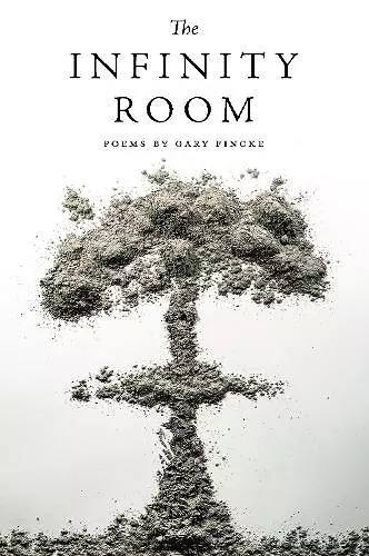 The Infinity Room cover