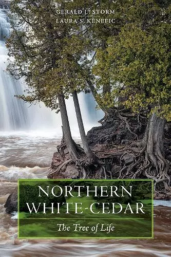 Northern White-Cedar cover