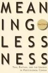 Meaninglessness cover