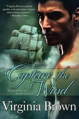 Capture The Wind cover