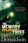 The Memory Thief cover