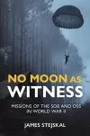 No Moon as Witness cover