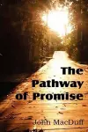 The Pathway of Promise, Words of Comfort to the Christian Pilgrim cover