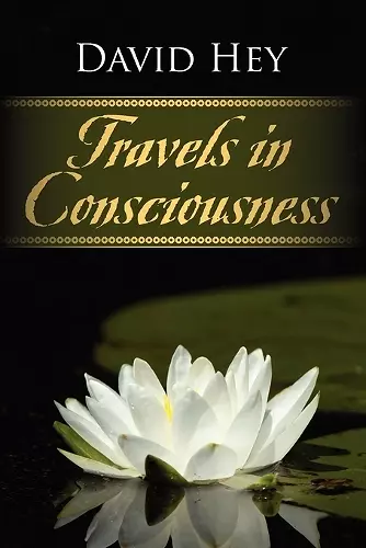 Travels in Consciousness cover