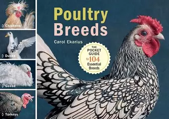 Poultry Breeds cover