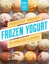 Perfectly Creamy Frozen Yogurt cover