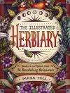 The Illustrated Herbiary packaging