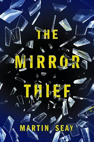 The Mirror Thief cover