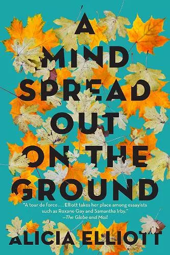 A Mind Spread Out on the Ground cover