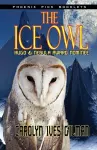 The Ice Owl - Hugo & Nebula Nominated Novella cover