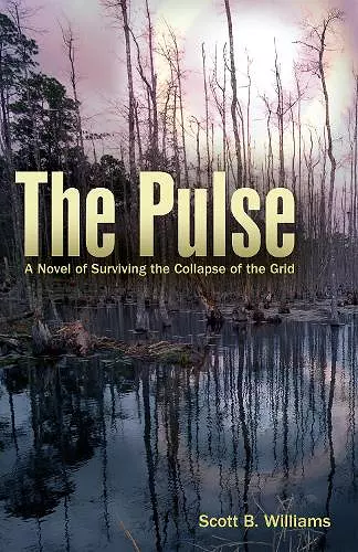 The Pulse cover